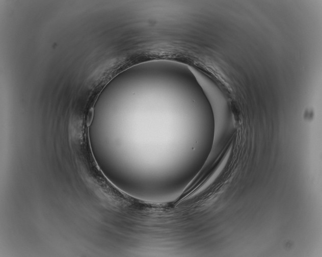 X0000090930597200707301557