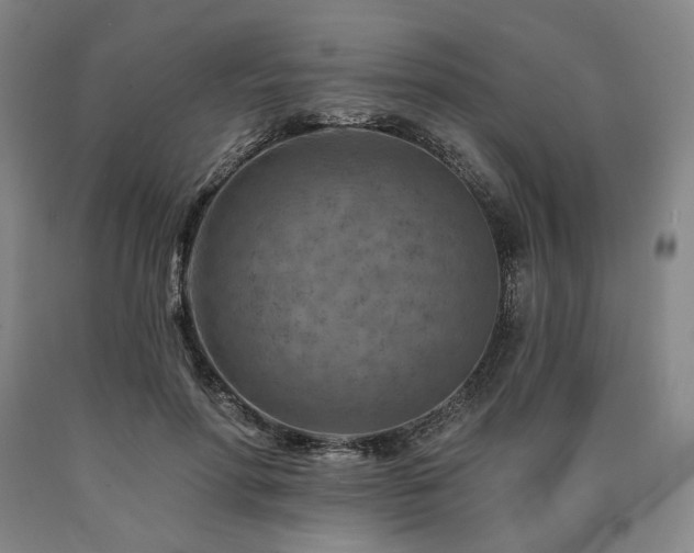X0000090930598200707301557