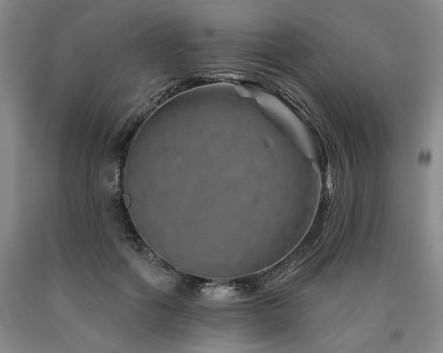 X0000090930602200707301557