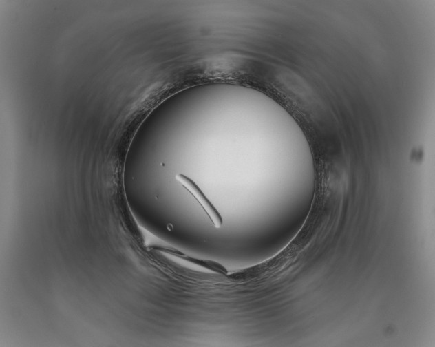 X0000090930603200707301557