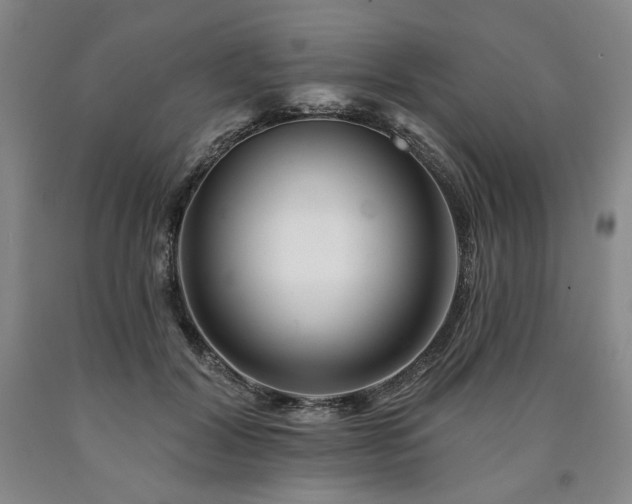 X0000090930604200707301557