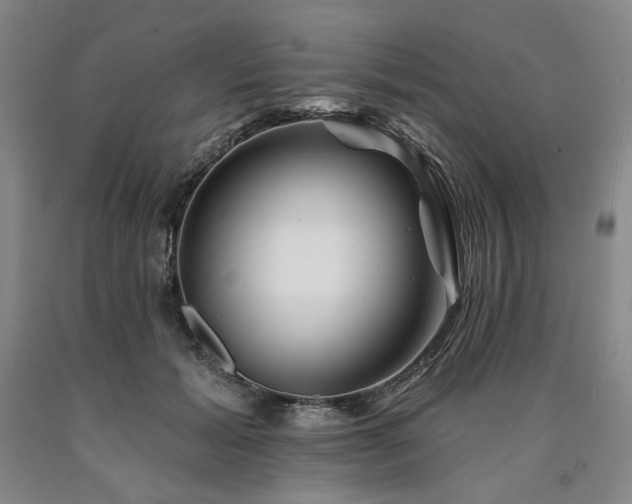 X0000090930605200707301557