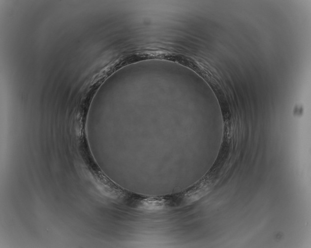 X0000090930606200707301557