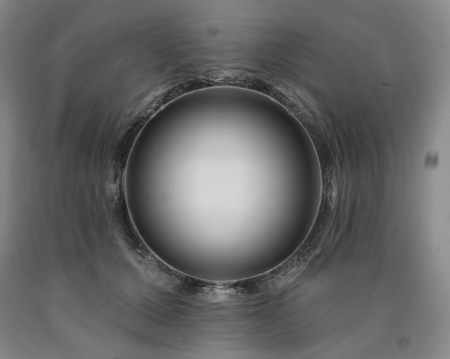 X0000090930607200707301557
