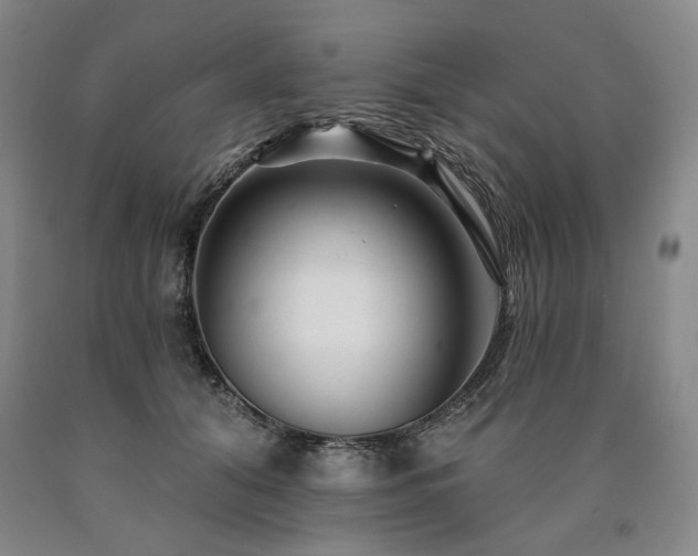 X0000090930608200707301557