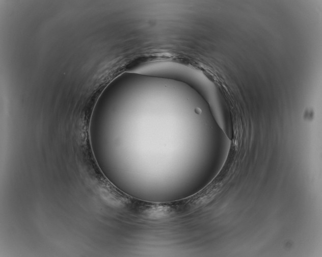 X0000090930609200707301557