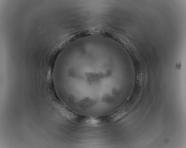 X0000090930610200707301557