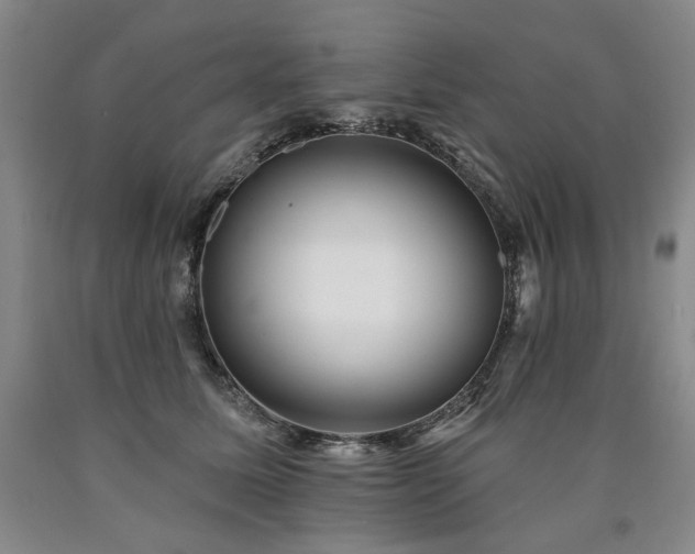 X0000090930611200707301557
