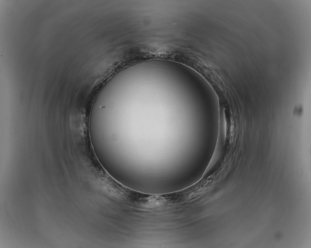 X0000090930612200707301557