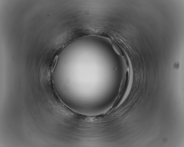 X0000090930613200707301557