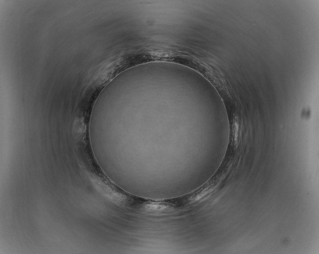 X0000090930614200707301557