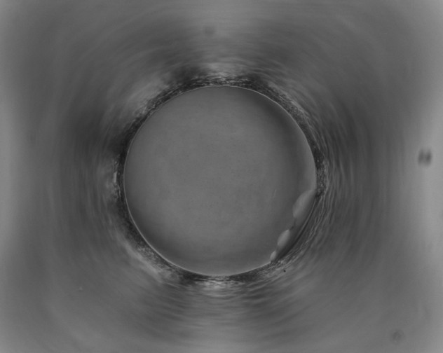 X0000090930615200707301557