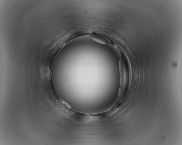 X0000090930617200707301557