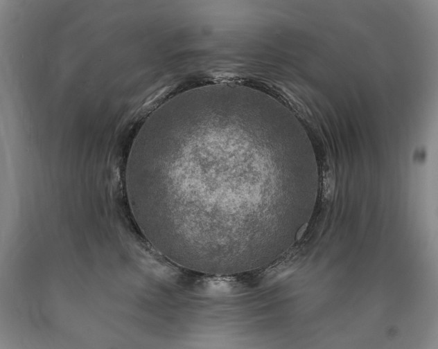 X0000090930618200707301557