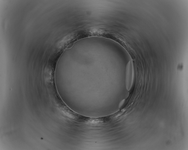 X0000090930619200707301557