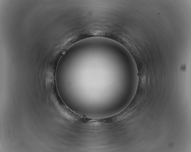 X0000090930620200707301556
