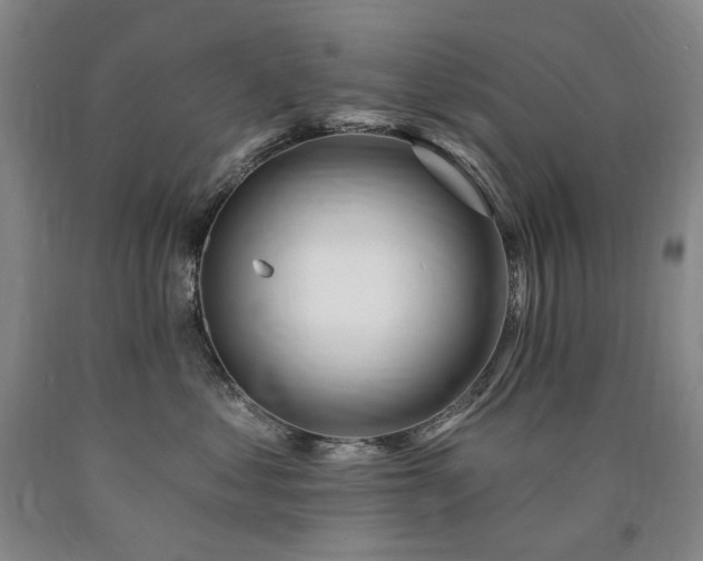 X0000090930621200707301556