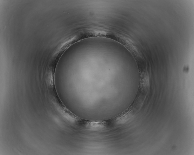 X0000090930622200707301556
