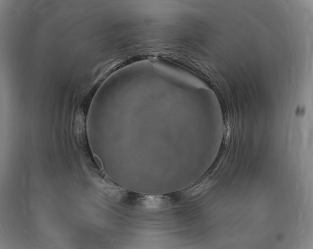 X0000090930623200707301556