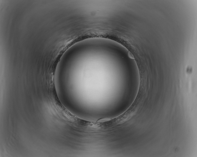 X0000090930624200707301556