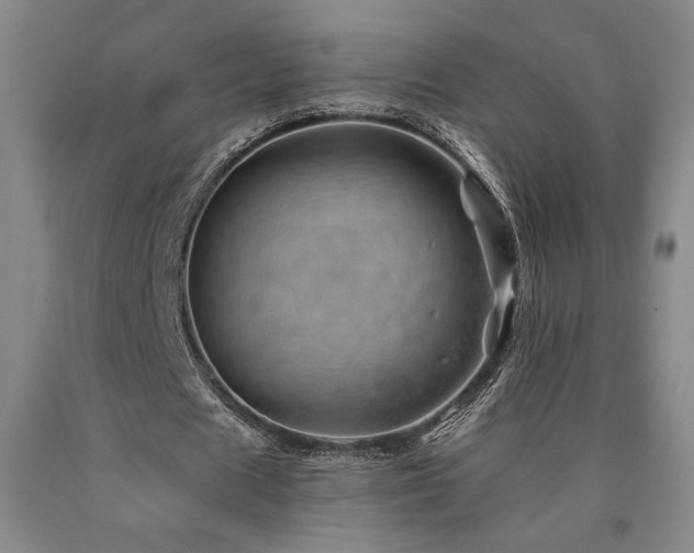 X0000090930625200707301556