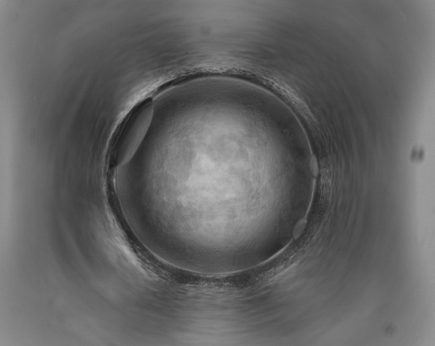X0000090930626200707301556