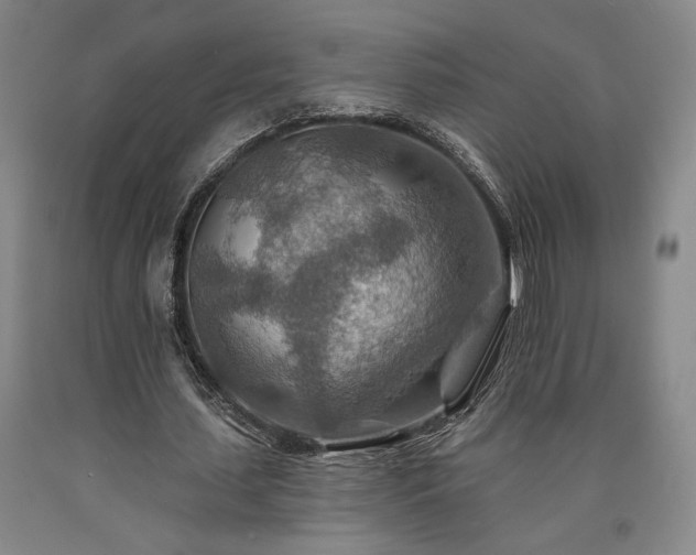 X0000090930627200707301556