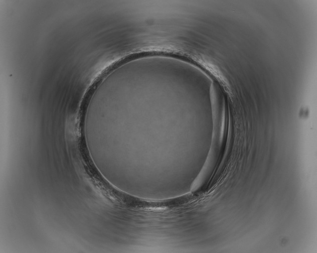 X0000090930628200707301556