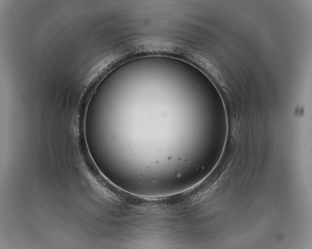 X0000090930629200707301556