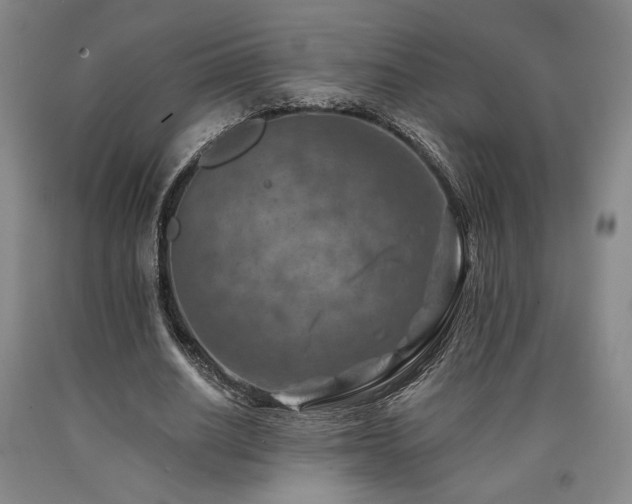 X0000090930630200707301556