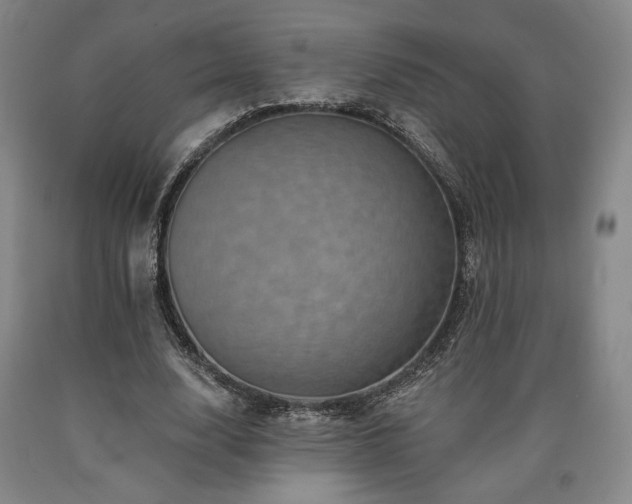 X0000090930632200707301556