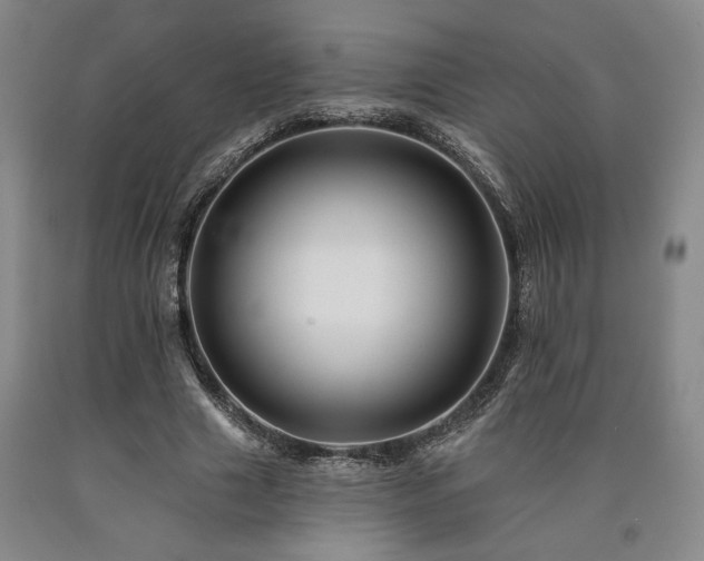 X0000090930633200707301556