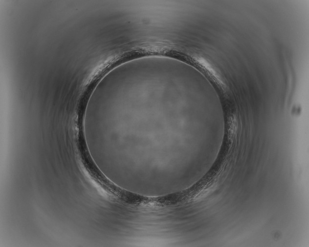 X0000090930634200707301556