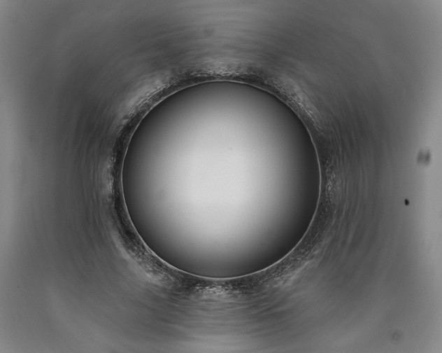 X0000090930635200707301556