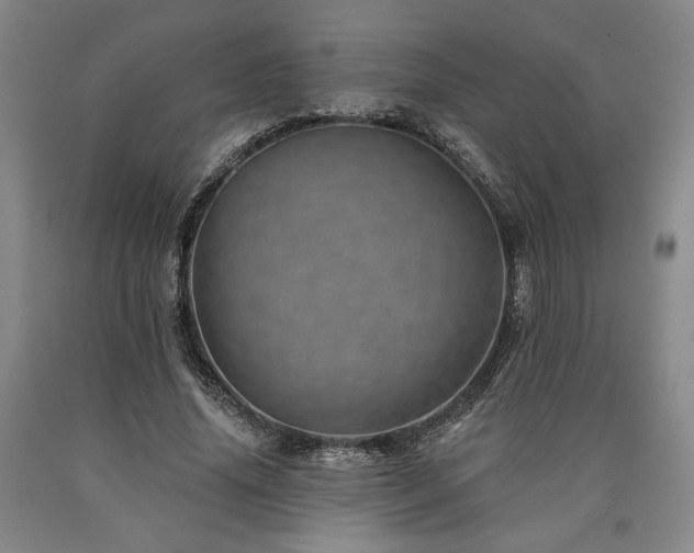 X0000090930636200707301556