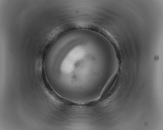 X0000090930637200707301556