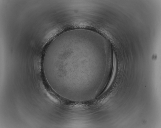 X0000090930638200707301556