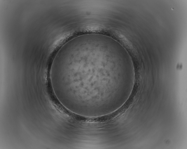 X0000090930640200707301556