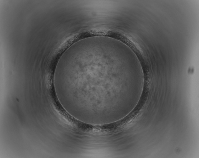 X0000090930641200707301556
