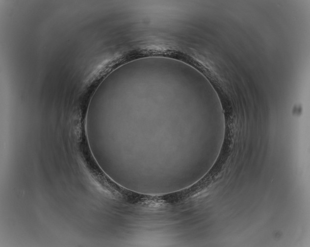X0000090930642200707301556