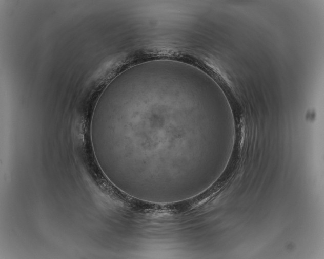 X0000090930643200707301556