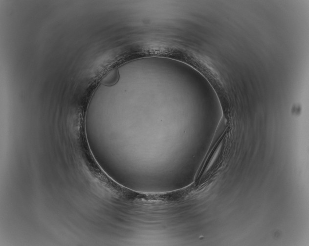 X0000090930645200707301556