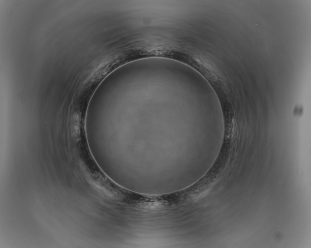 X0000090930646200707301556
