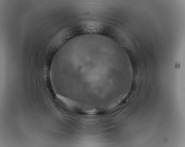 X0000090930647200707301556