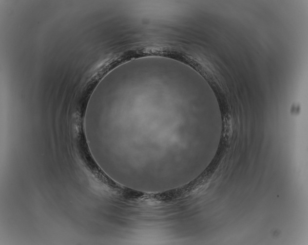 X0000090930648200707301556