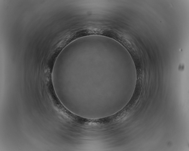 X0000090930649200707301556