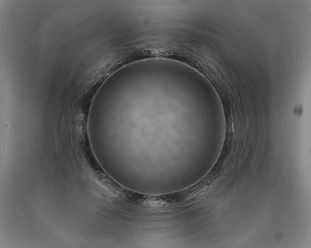 X0000090930650200707301556