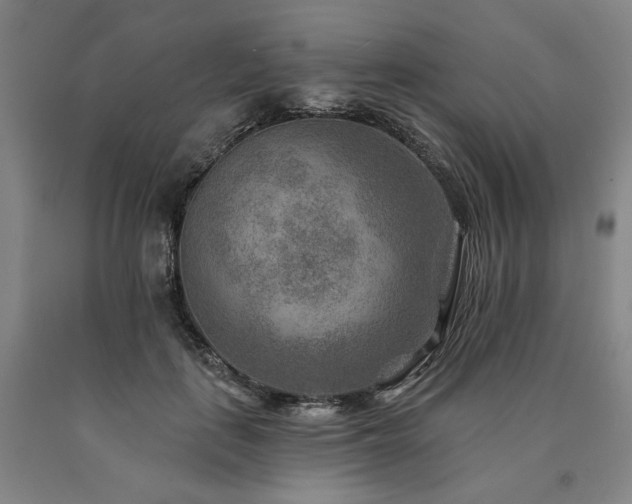 X0000090930651200707301556