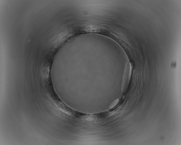 X0000090930652200707301556
