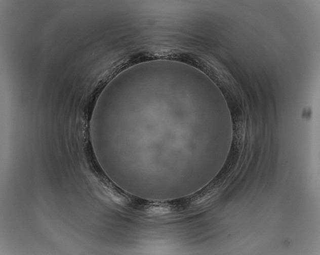 X0000090930653200707301556